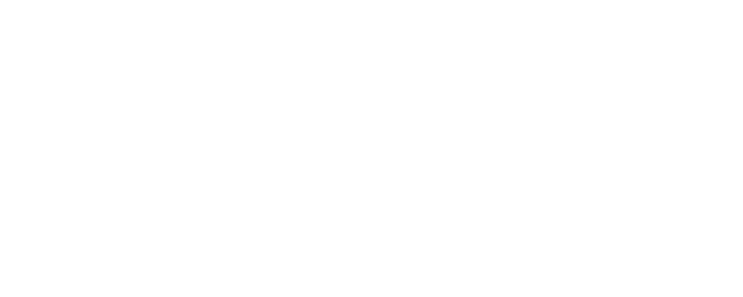 Partner 3